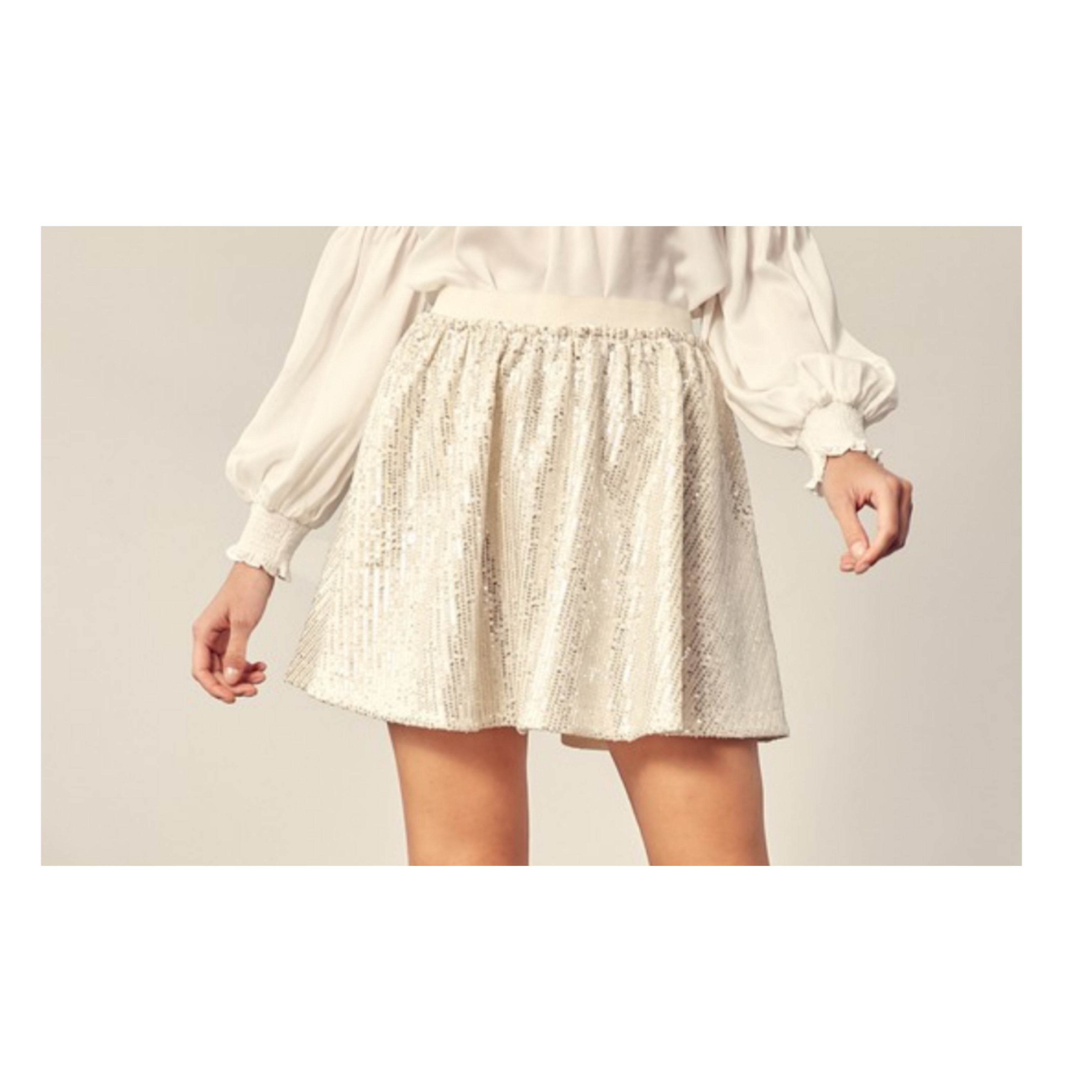 Sequin Skirt•-1