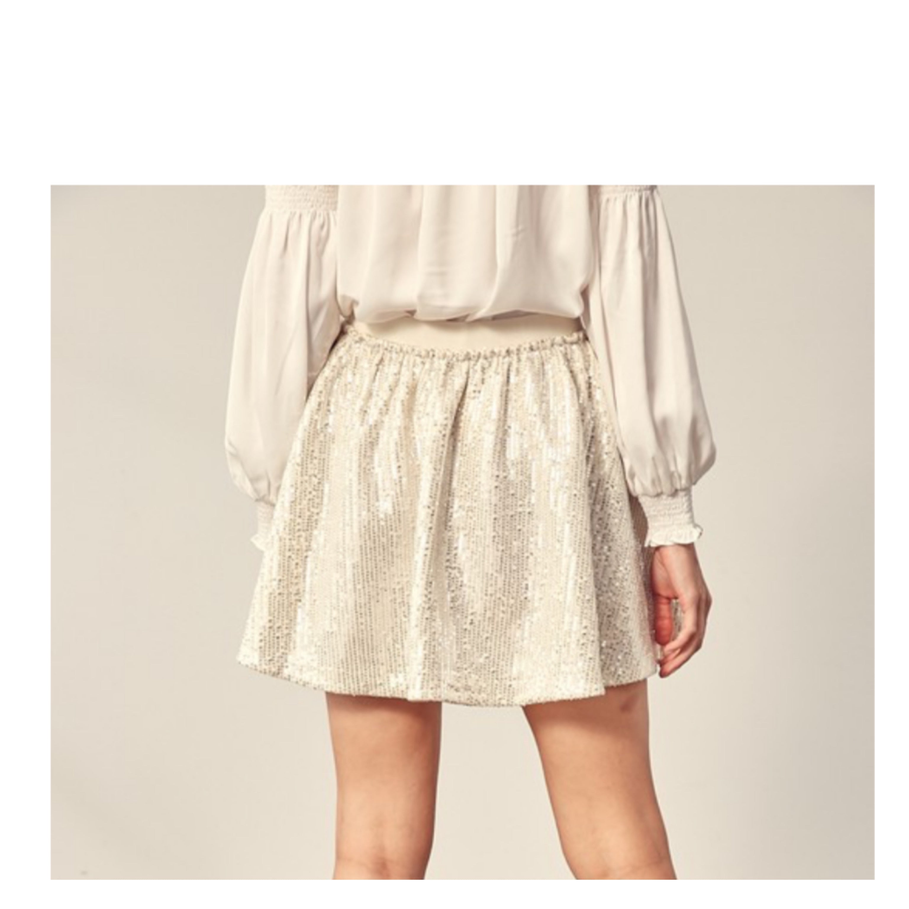 Sequin Skirt•-2