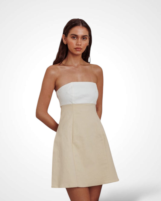 Two Toned Color Mini Dress