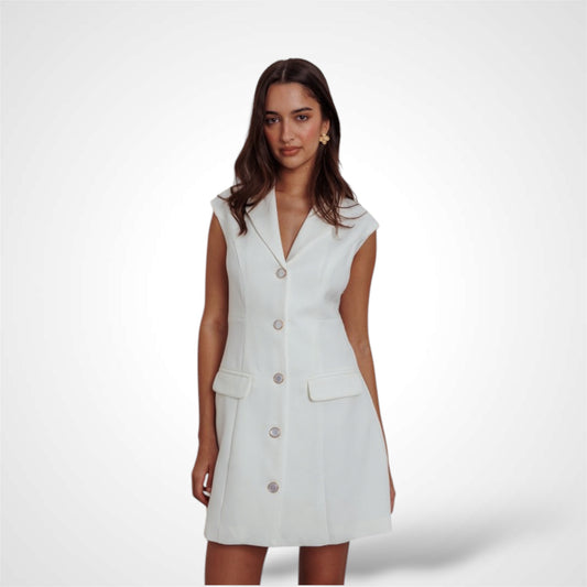 Sleeveless Dress Mini Dress