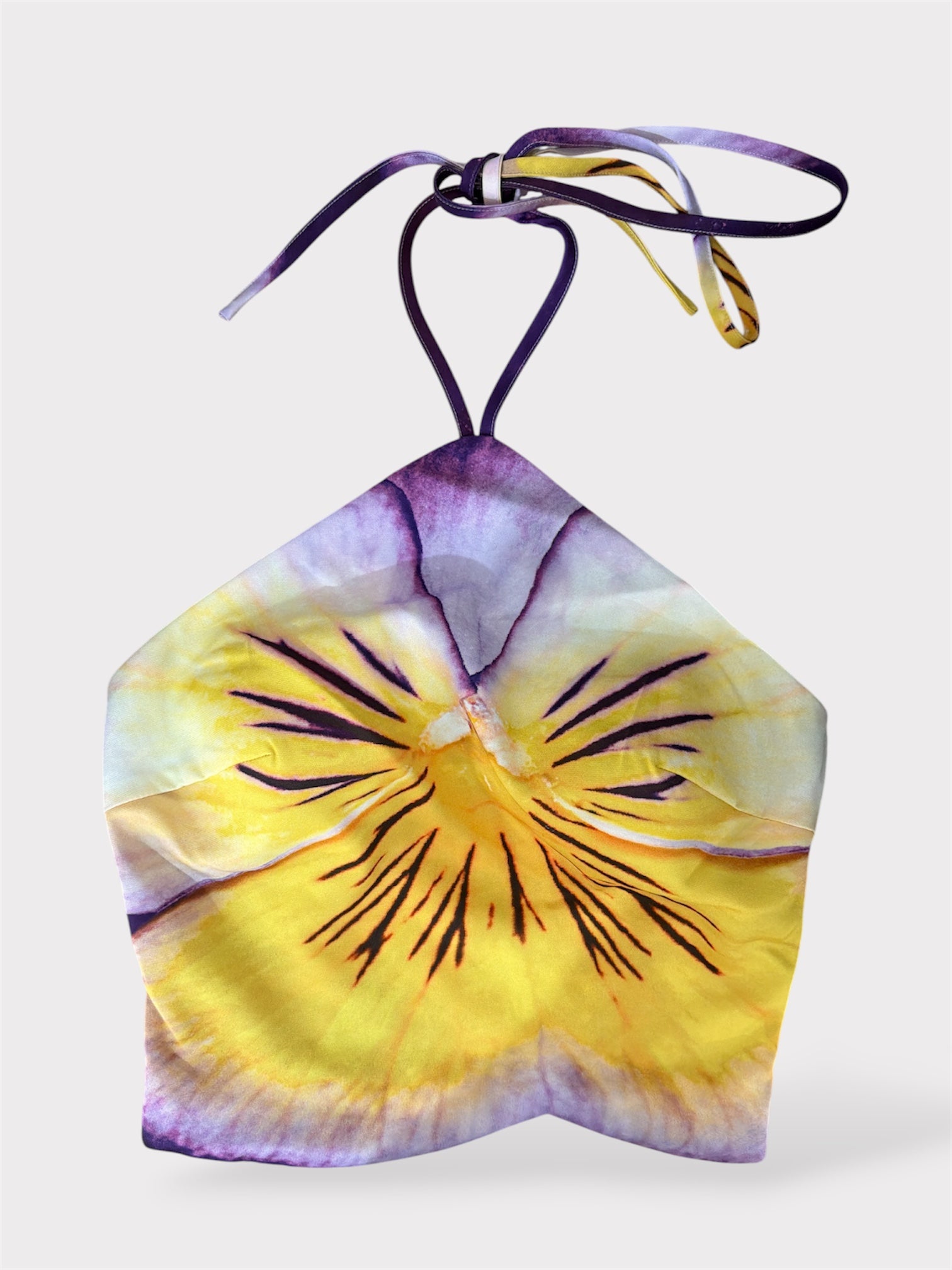 Orchid Top•-1