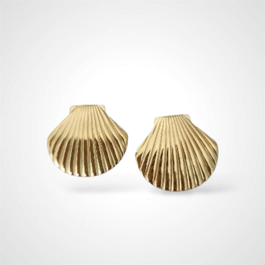 SEA SHELL SHINE