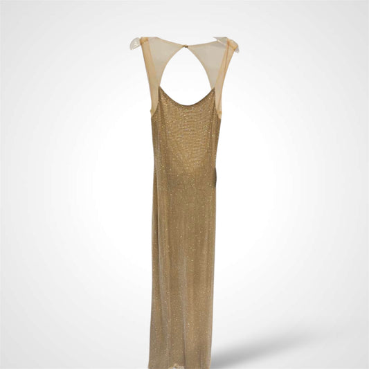 CRYSTAL NUDE LONG DRESS