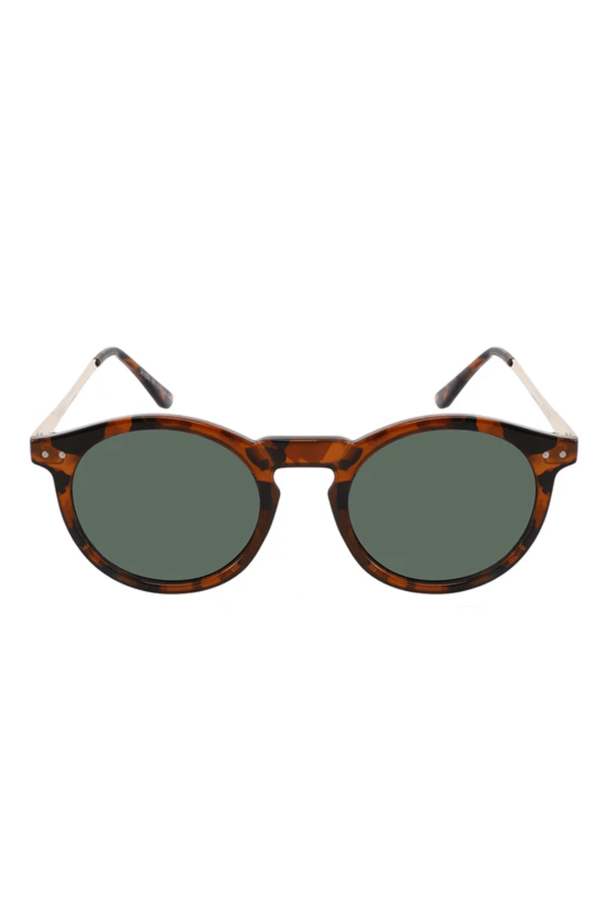 Ashton Polarized-2