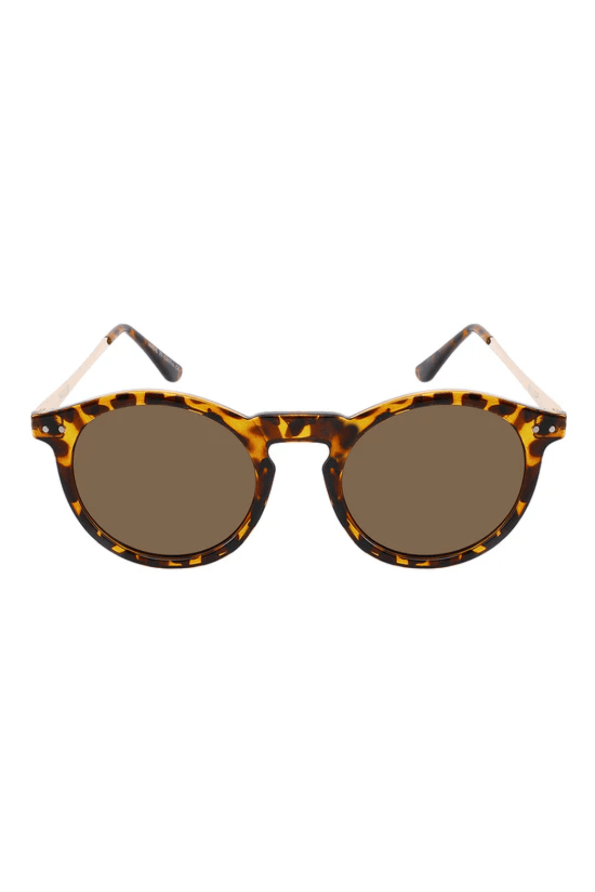Ashton Polarized-7