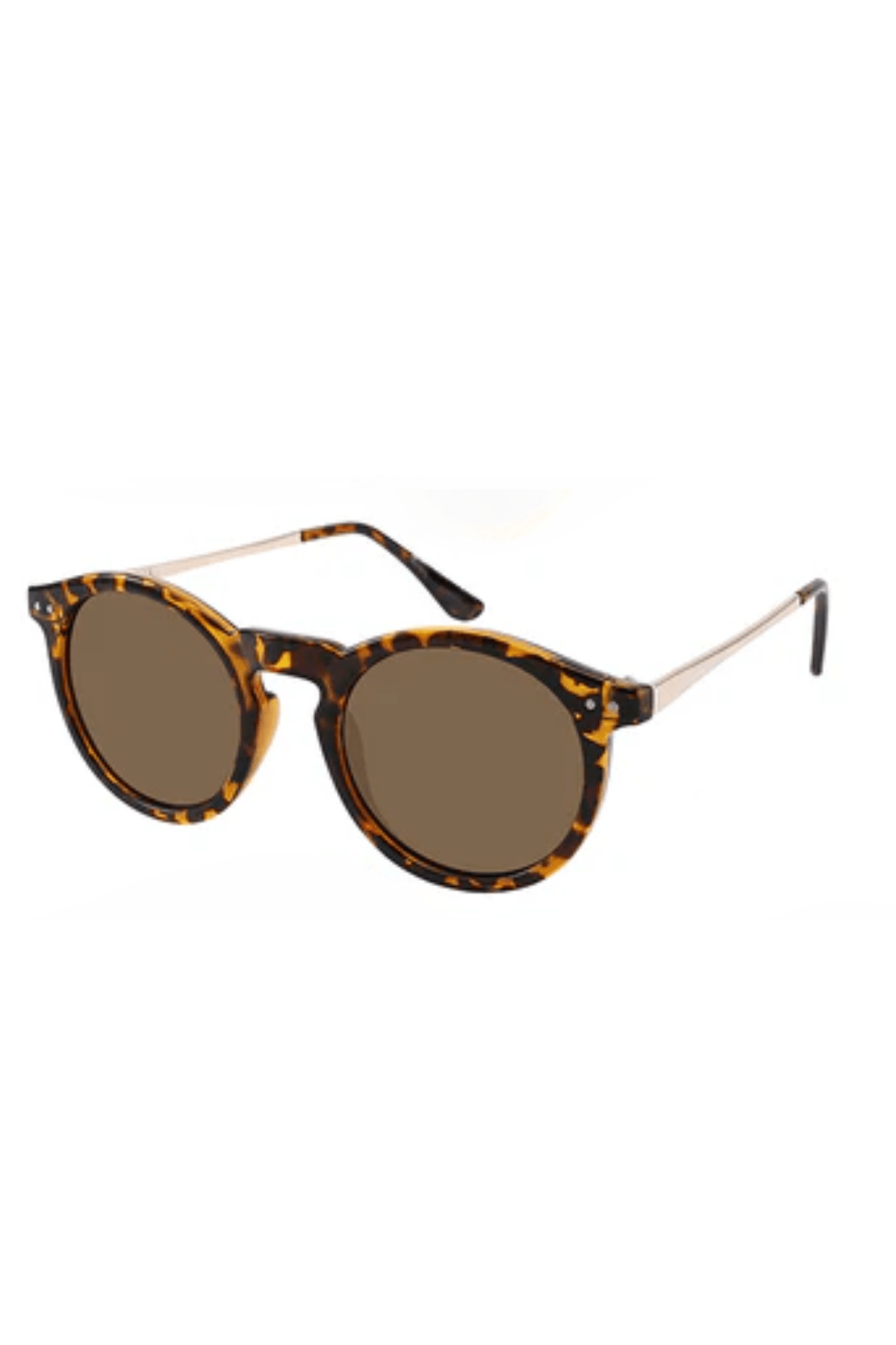 Ashton Polarized-8