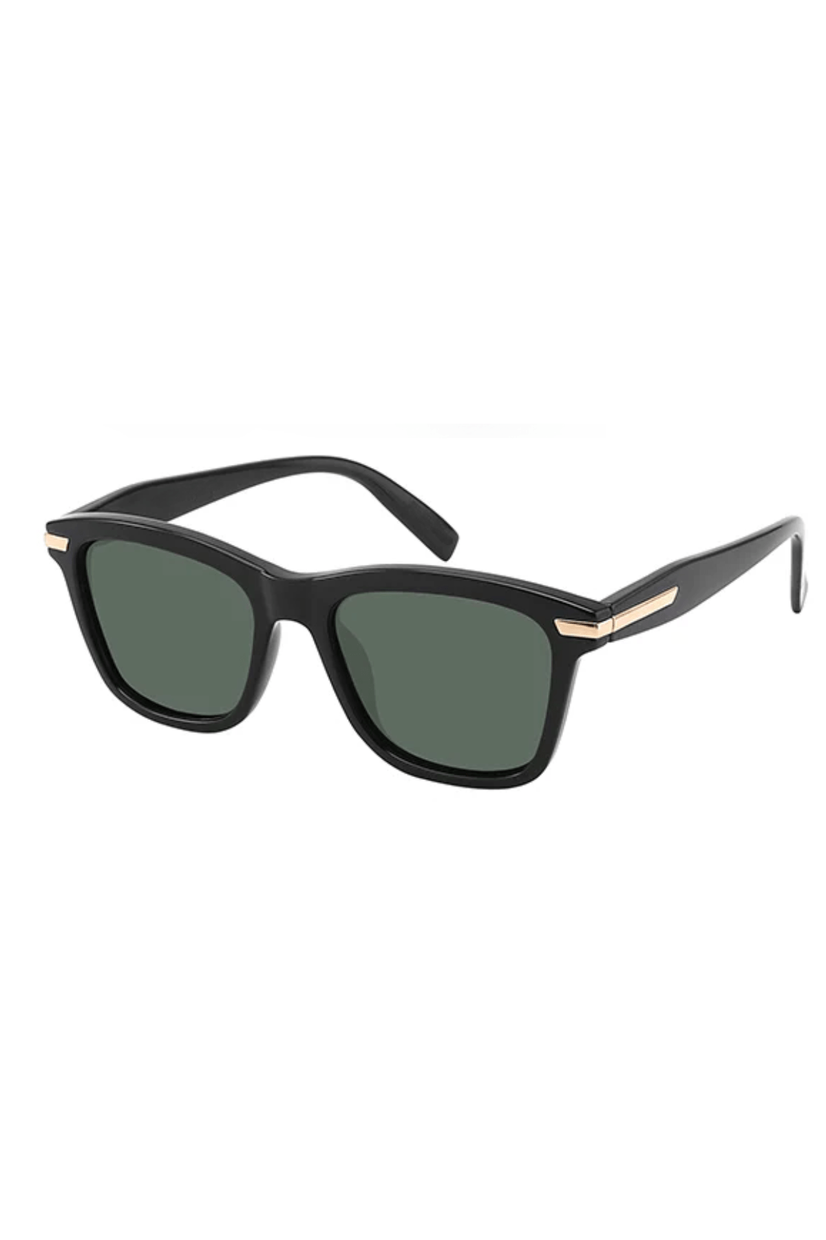 Collin Polarized-1