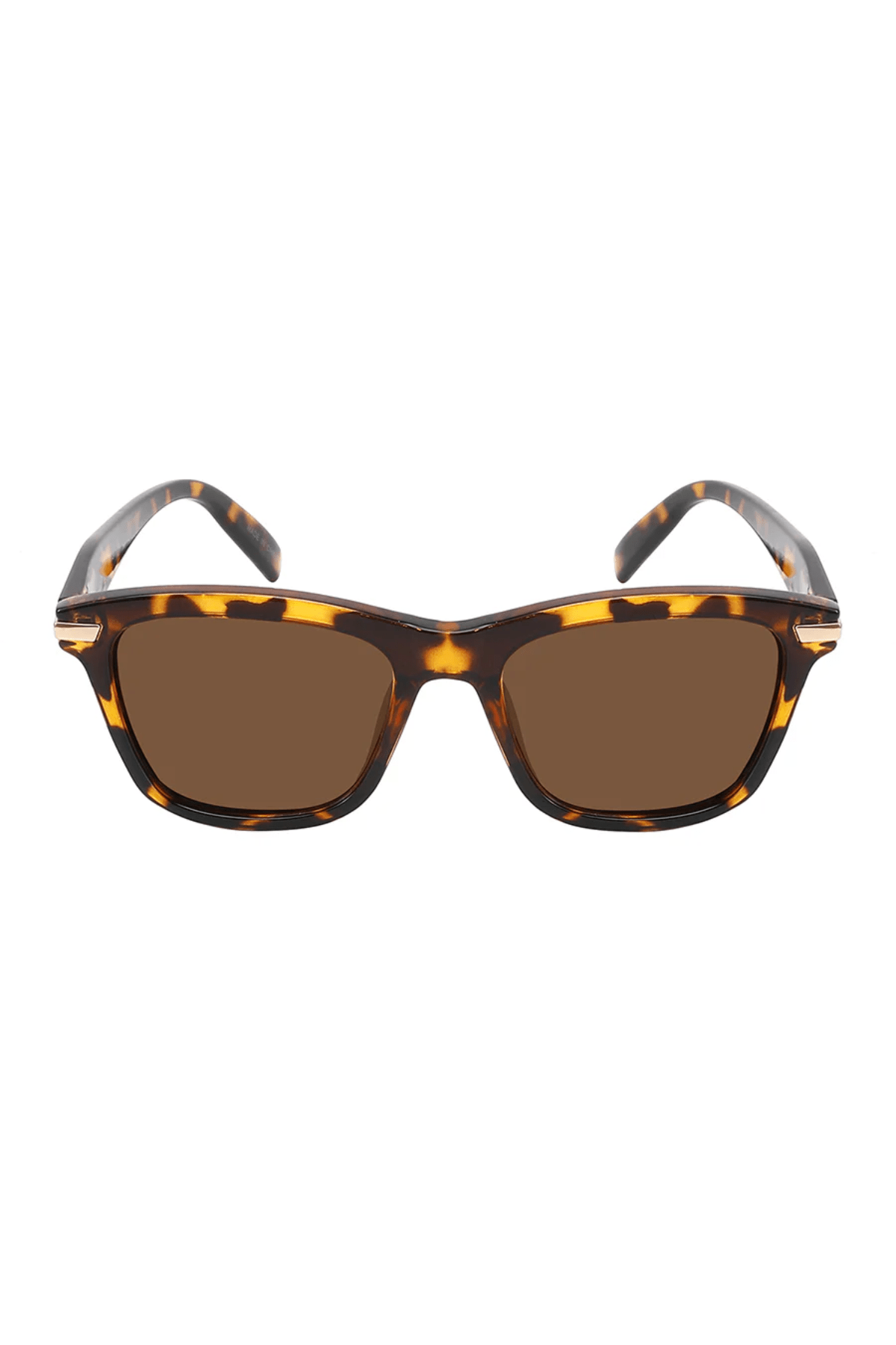 Collin Polarized-7