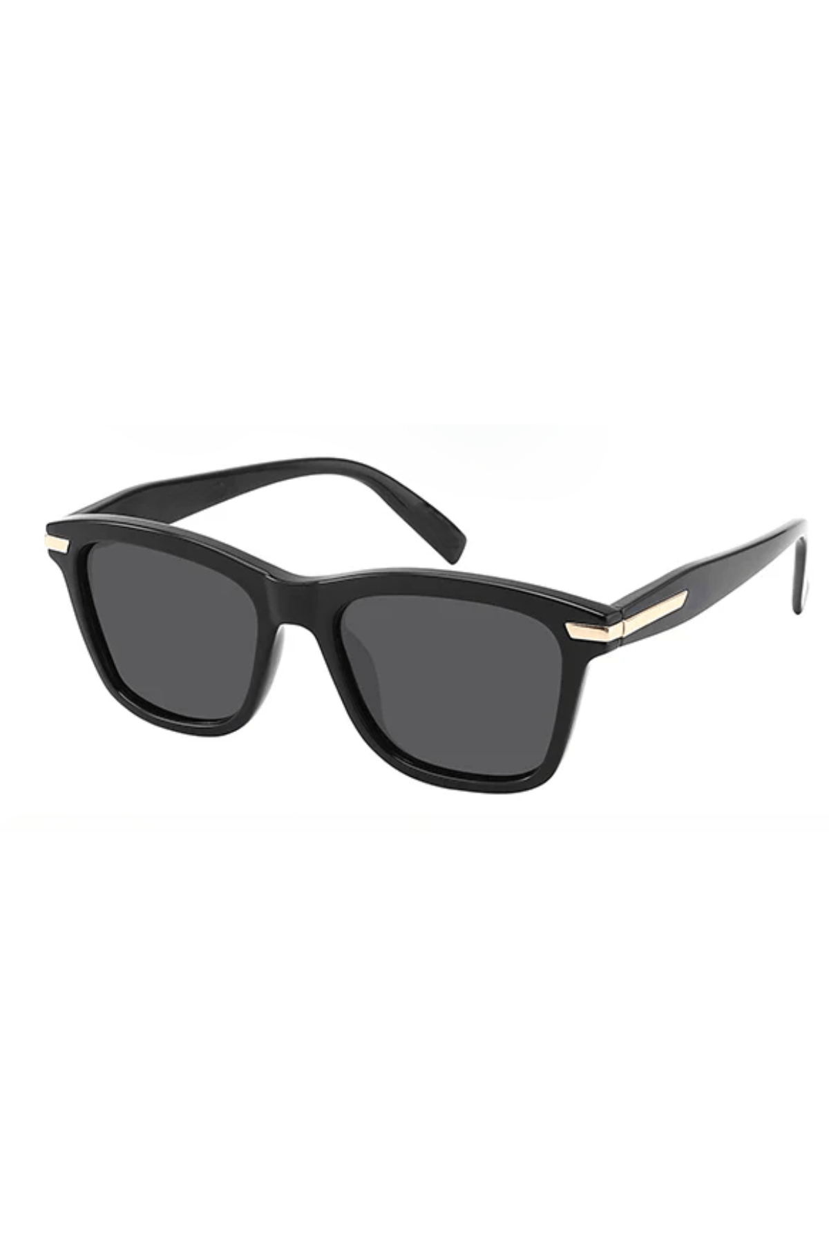 Collin Polarized-4