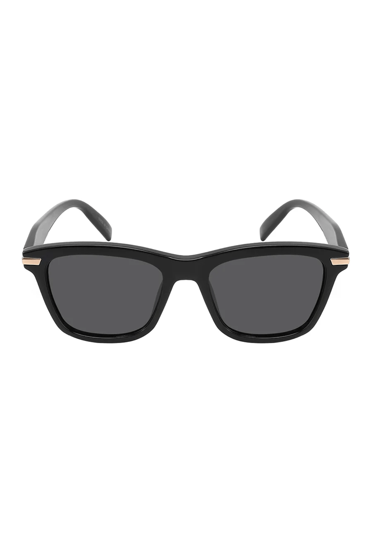 Collin Polarized-3