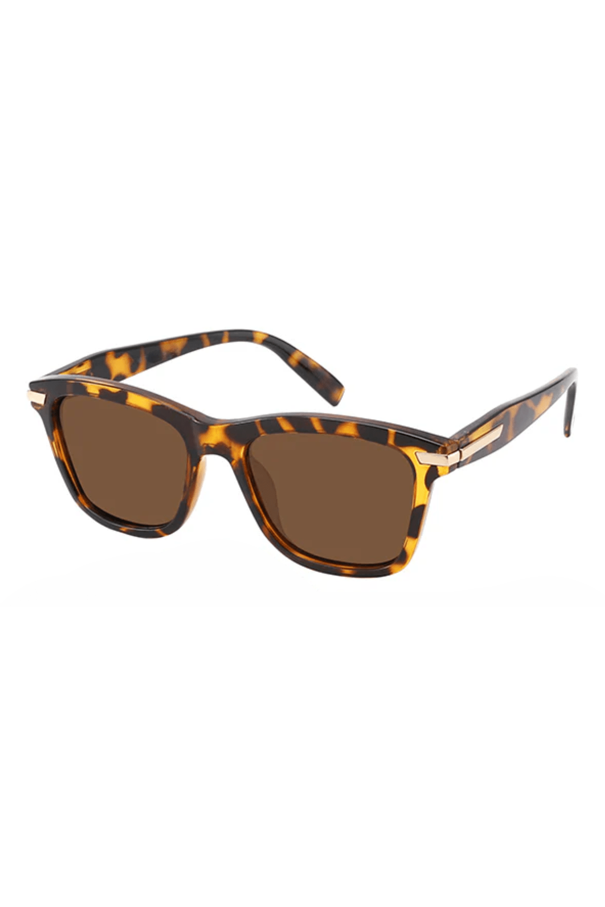 Collin Polarized-8